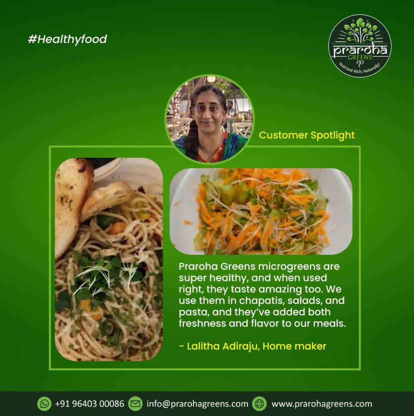 Noodles & Salad 